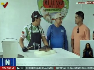 Barinas | Dan inicio a la "Ruta del Queso de Mano" que promueve los productos lácteos tradicionales