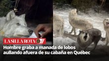 Hombre graba a manada de lobos aullando frente a su cabaña en Canadá