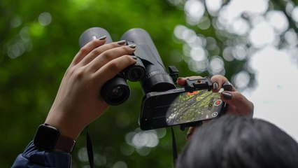 El avistamiento de aves une a familias y científicos durante el October Big Day