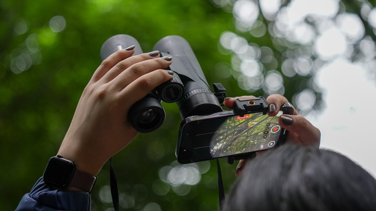 El avistamiento de aves une a familias y científicos durante el October Big Day