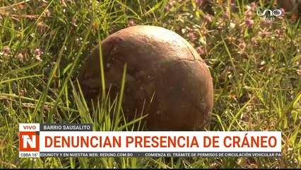 DENUNCIAN PRESENCIA DE UN CRÁNEO HUMANO EN UNA CALLE DE SCZ