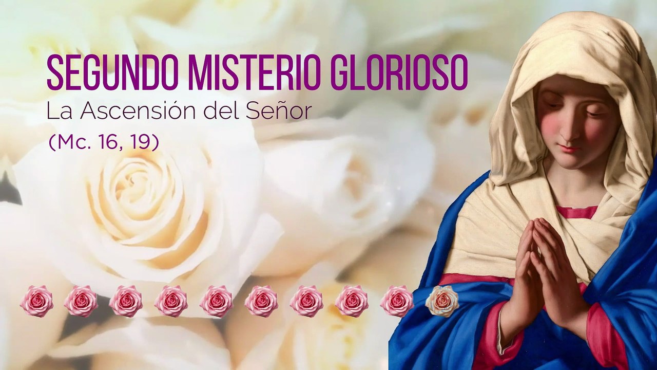 Santo Rosario Domingo 12 de octubre de 2025