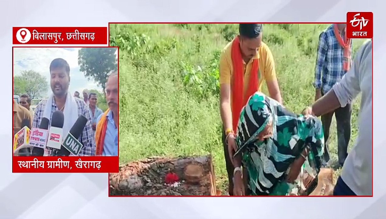 ''पीपल नहीं ये तो मेरा बेटा था'', 90 साल की बूढ़ी माई ये कहकर रो पड़ी, प्रकृति और आस्था की अनोखी कहानी