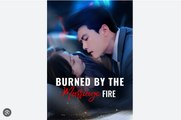 The Fire That Burned the Marriage Chinese Drama - English Sub