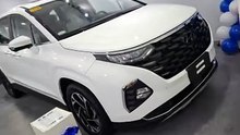 Meet The Hyundai Custin