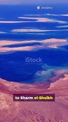 #DiplomacyAtCenterStage #PeaceSummit #GazaConflict #EgyptMediation #GlobalWatch