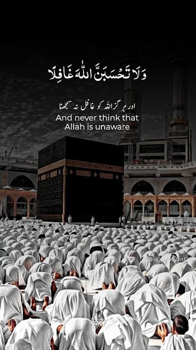 Mashallah 🖤