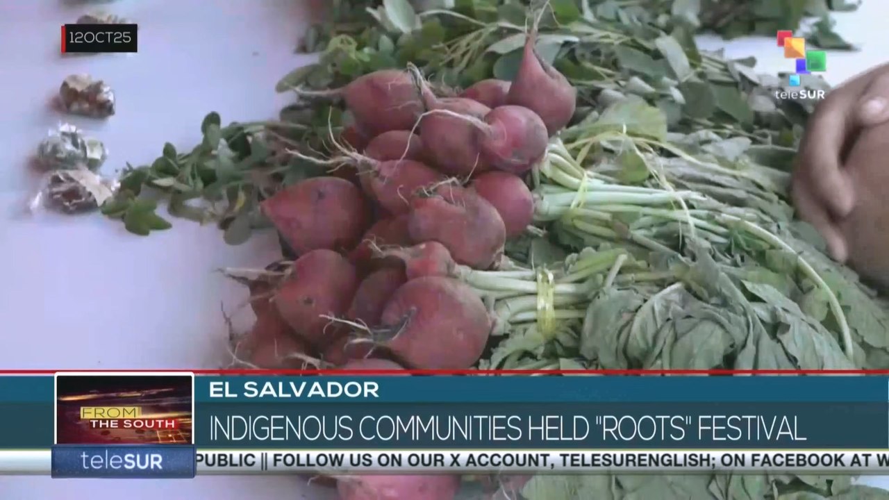 SALAVADOR: Indigenous communities held the ´´Roots´´ Festival
