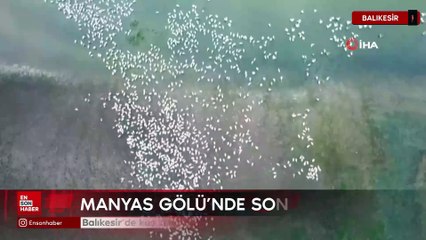 Balıkesir’de kuş cenneti göçmen kuşlarla renklendi