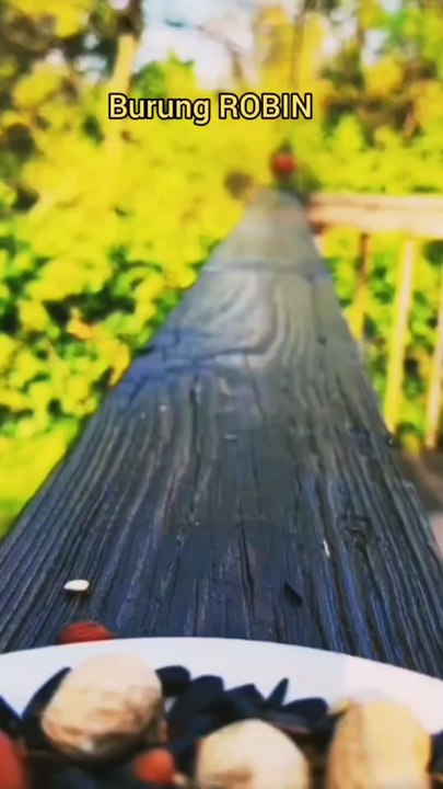 Know tne names of birds