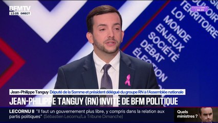 "On ne se réjouit pas que monsieur Macron choisisse les ruines", déclare Jean-Philippe Tanguy (RN)