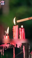 healing the wordless rose💖