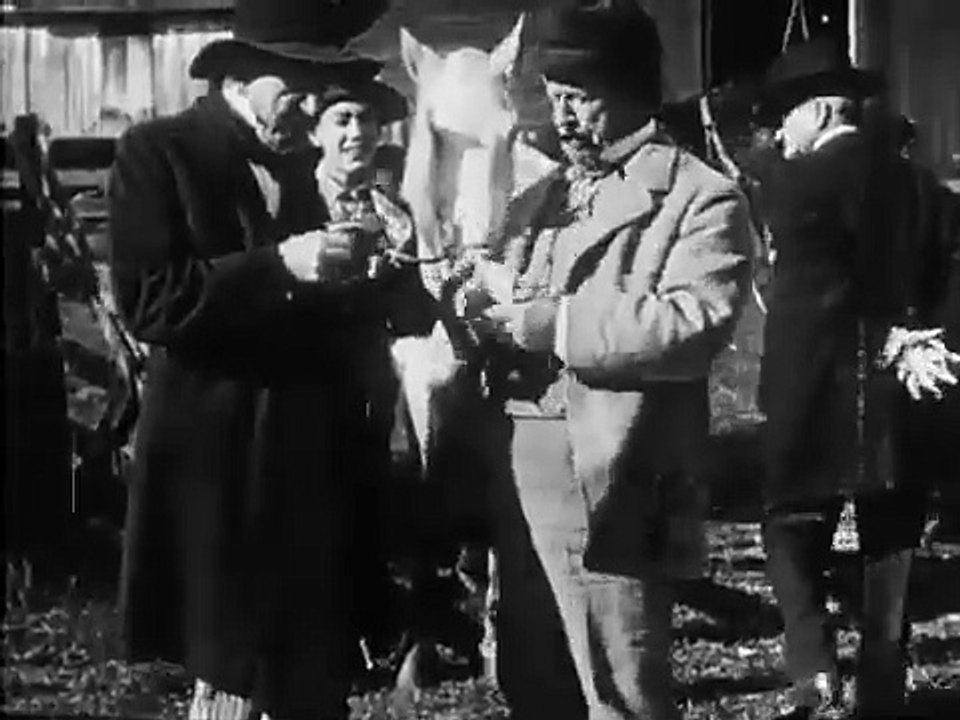 David Harum (1915) - Full movie