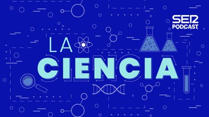 ¿Qué pasa en nuestro cerebro cuando nos enamoramos?