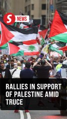 Thousands rally behind Palestine in various parts of the world amid Gaza ceasefire