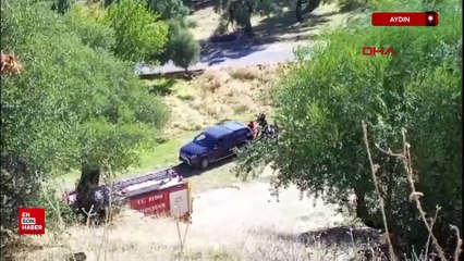 Aydın'da maki yangınında alevler zeytinliğe sıçradı