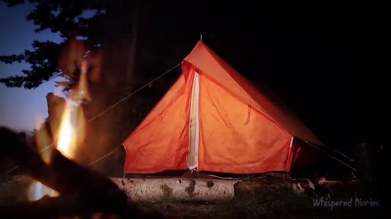 american horror story 2025 | Dark Files: Midnight Tales (USA)