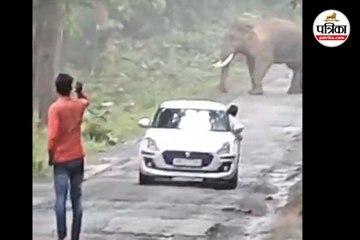 हाथियों के पास जाकर बना रहे वीडियो