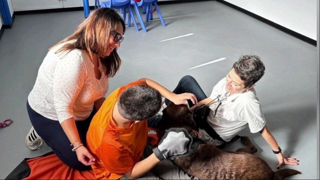 Disabili e terapia con gli animali, centro di eccellenza all'Annunziata
