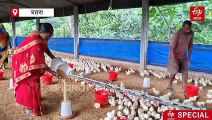 ससुराल का मिला साथ और दशरथ साव ने कर दिया कमाल, चतरा में करते हैं खेती और मुर्गी पालन, नेपाल तक करते हैं सप्लाई