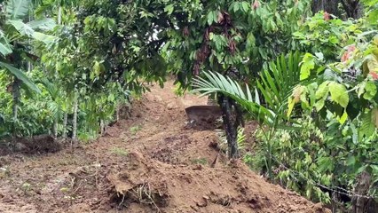 Reviving the Plantation Road, Bulldozer D6R XL Works Neatly