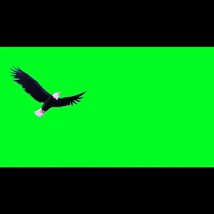 SERDAR ŞİMŞEK KARTAL ASLAN GORİL ANİMASYON
