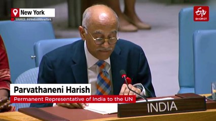 'Sanctioned Rape Of 400,000 Women': India Tears Into Pak After It Rakes Up Kashmir At UNSC
