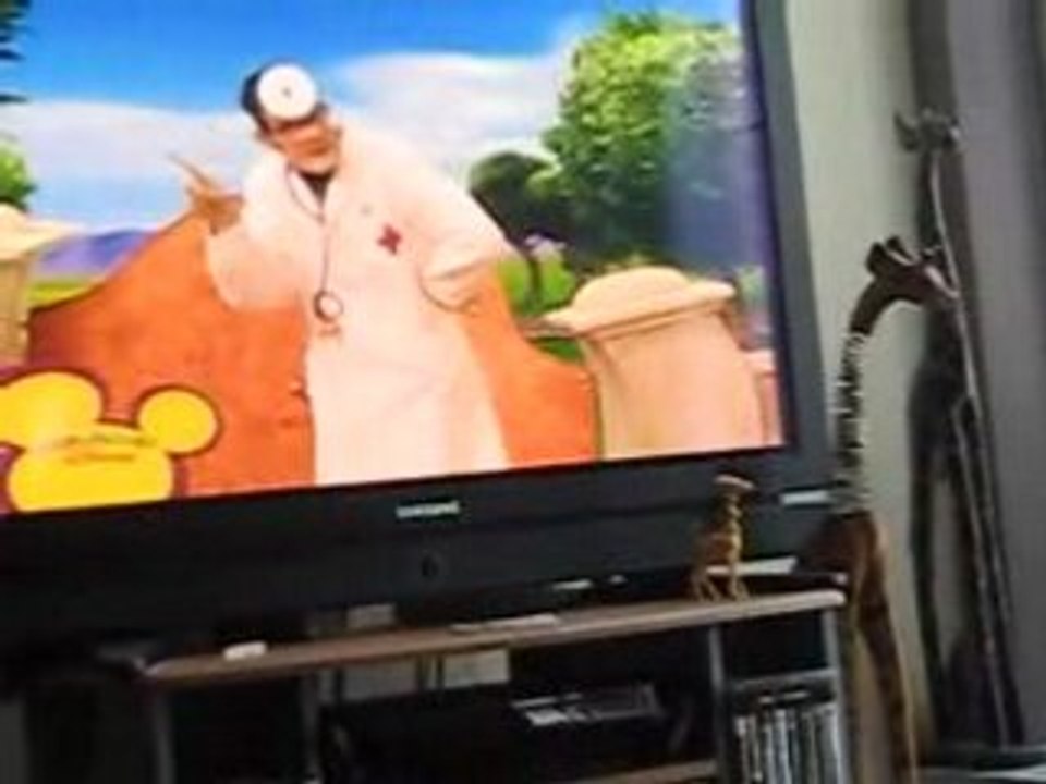 La télévision...