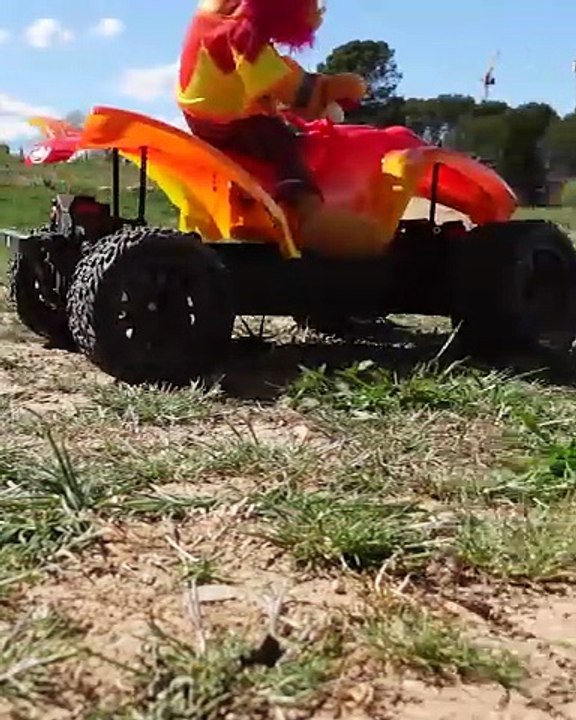 ARRMA ANIMAL VORTEKS