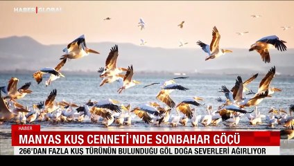 Manyas Kuş Cenneti’nde sonbahar göçü