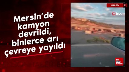 Mersin’de kamyon devrildi, binlerce arı çevreye yayıldı