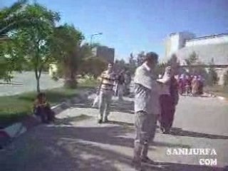 Tmo pirinç www.sanliurfa.com