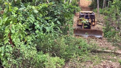 Steps to Use a D6R XL Bulldozer for Road Maintenance