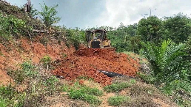 Optimizing Road Service with D6R XL Bulldozer in Palm Oil Plantations