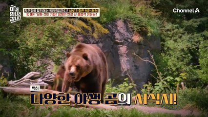 '영어 억양' 때문에 정체를 의심받았다?! 모든 것이 거짓이었던 북한 해커