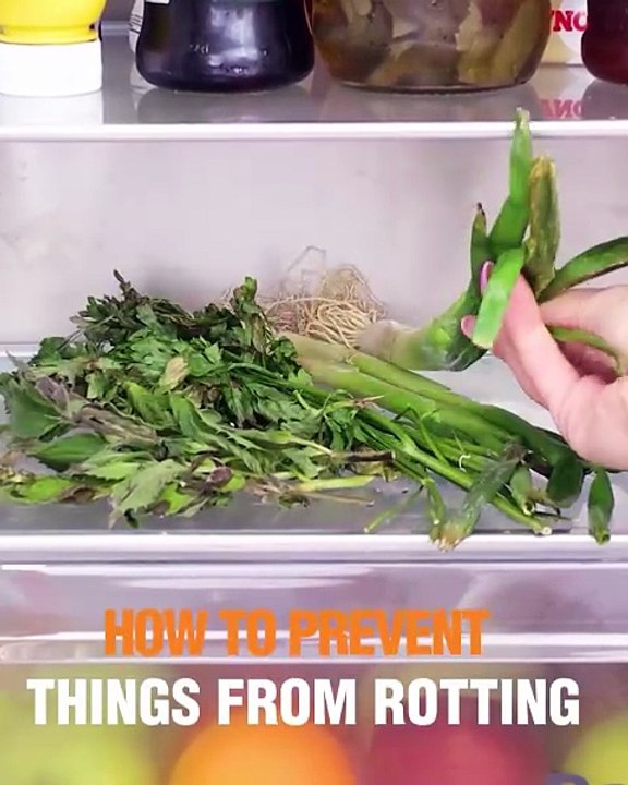 Tips on keeping your flowers and vegetables fresh!