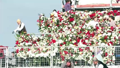 Miles de personas lucen con orgullo su devoción por la Virgen del Pilar