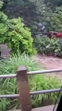 “¡Se los llevó el agua!”: el desgarrador testimonio de auxilio tras las inundaciones en México