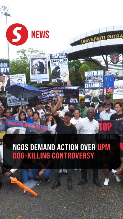 Peka mulls MACC report over alleged fund misuse in UPM dog-culling case