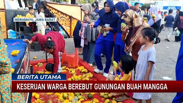 Festival Buah Mangga Indramayu Warnai HUT ke-498, Warga Rela Berdesakan Rebut Mangga Gratis