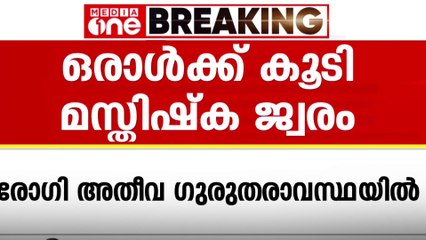 പാലക്കാട് ഒരാൾക്ക് കൂടി അമീബിക് മസ്തിഷ്ക ജ്വരം; നില അതീവ ഗുരുതരം
