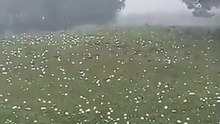Severe Hailstorm with Large Hailstones