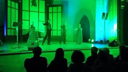 Espectáculo de danza y estrellas a favor de Apavi