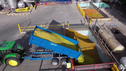 Countryfile - A Tale of Two Ciders