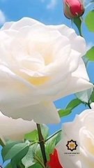 Aaj Ke Dua  very good