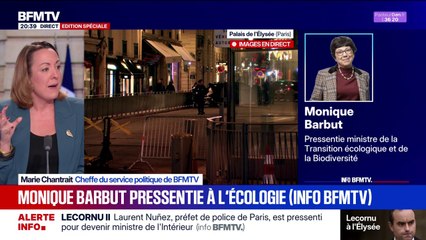 Gouvernement de Sébastien Lecornu: Monique Barbut, présidente du WWF-France, est pressentie pour le poste de ministre de la Transition écologique et de la Biodiversité