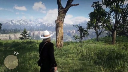 35. You Have Passed Here 4070 Times But Never Noticed These - RDR2