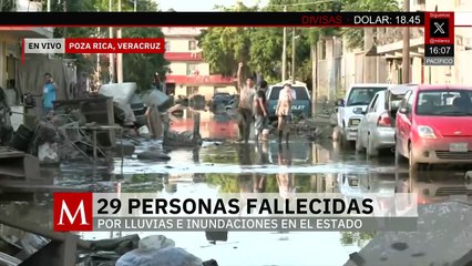 Tras las fuertes lluvias en Poza Rica, se presentan focos de infección y animales muertos