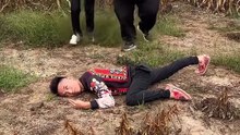 Comedy-lustiges Streichvideo