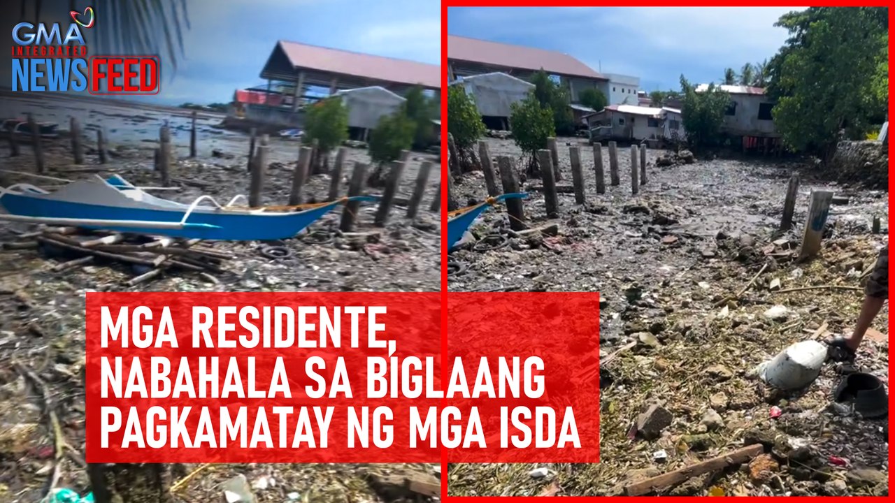 Mga residente, nabahala sa biglaang pagkamatay ng mga isda | GMA Integrated Newsfeed